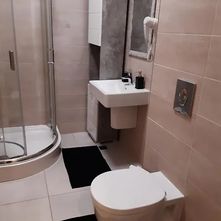 Esthetic Apartament * Брашов